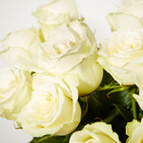 24-fairtrade-white-roses 3