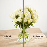 24-fairtrade-white-roses 4
