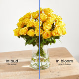 24-fairtrade-yellow-roses 4
