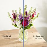 meadow-flair 4