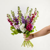 meadow-flair 2