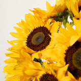 british-sunflowers-1 3