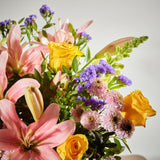natures-revelry 2