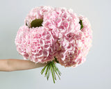 weekly-premium-flower-subscription 1