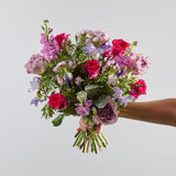 fuchsia-allure 2