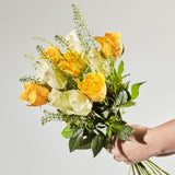 suns-serenade 4