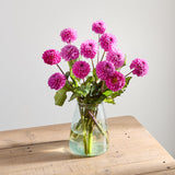 pink-dahlias-1 1