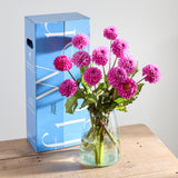 pink-dahlias-1 5