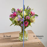 bisou 4