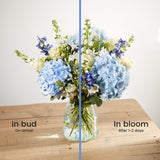 positive-luxury-bouquet 4