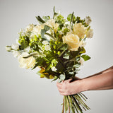 pure-love 2