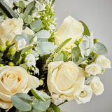pure-love 3