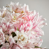 scented-double-lilies 2
