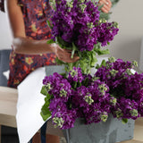 fortnightly-flower-subscription 10