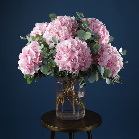An example of subscription flowers, Pink Hydrangea in a pink tinted glass vase